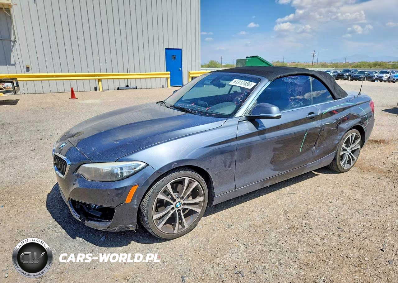 2016 BMW 228 I Sulev