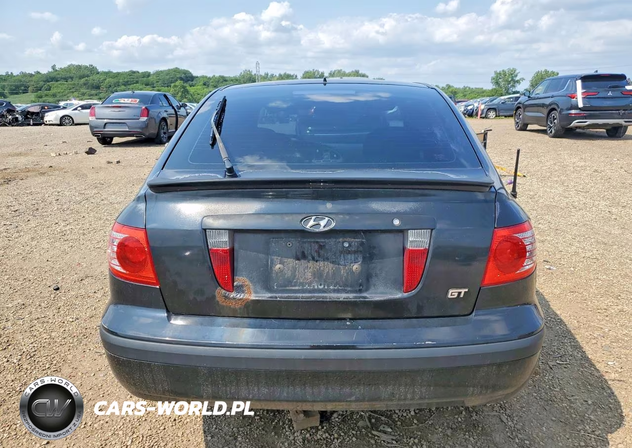 2004 Hyundai Elantra Gt VIN:KMHDN56DX4U128119 - 6