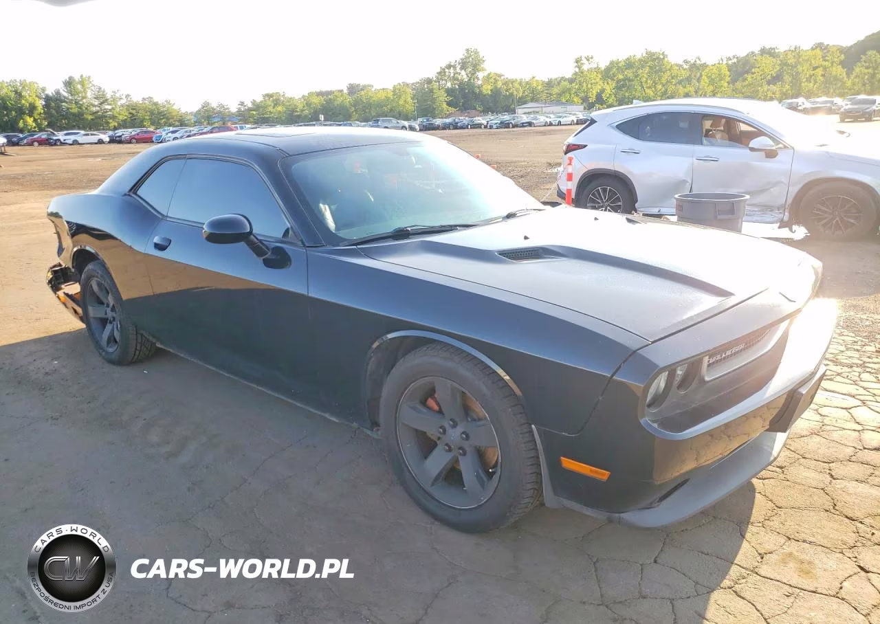 2013 Dodge Challenger Sxt VIN:2C3CDYAG0DH510480 - 4