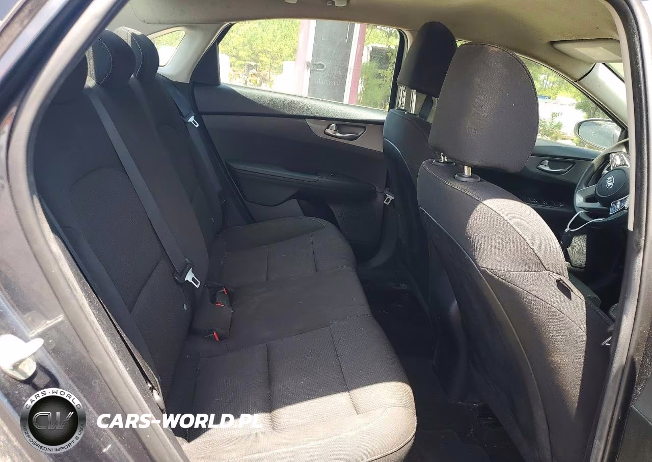 2019 Kia Forte Fe VIN:3KPF24AD5KE077065 - 10