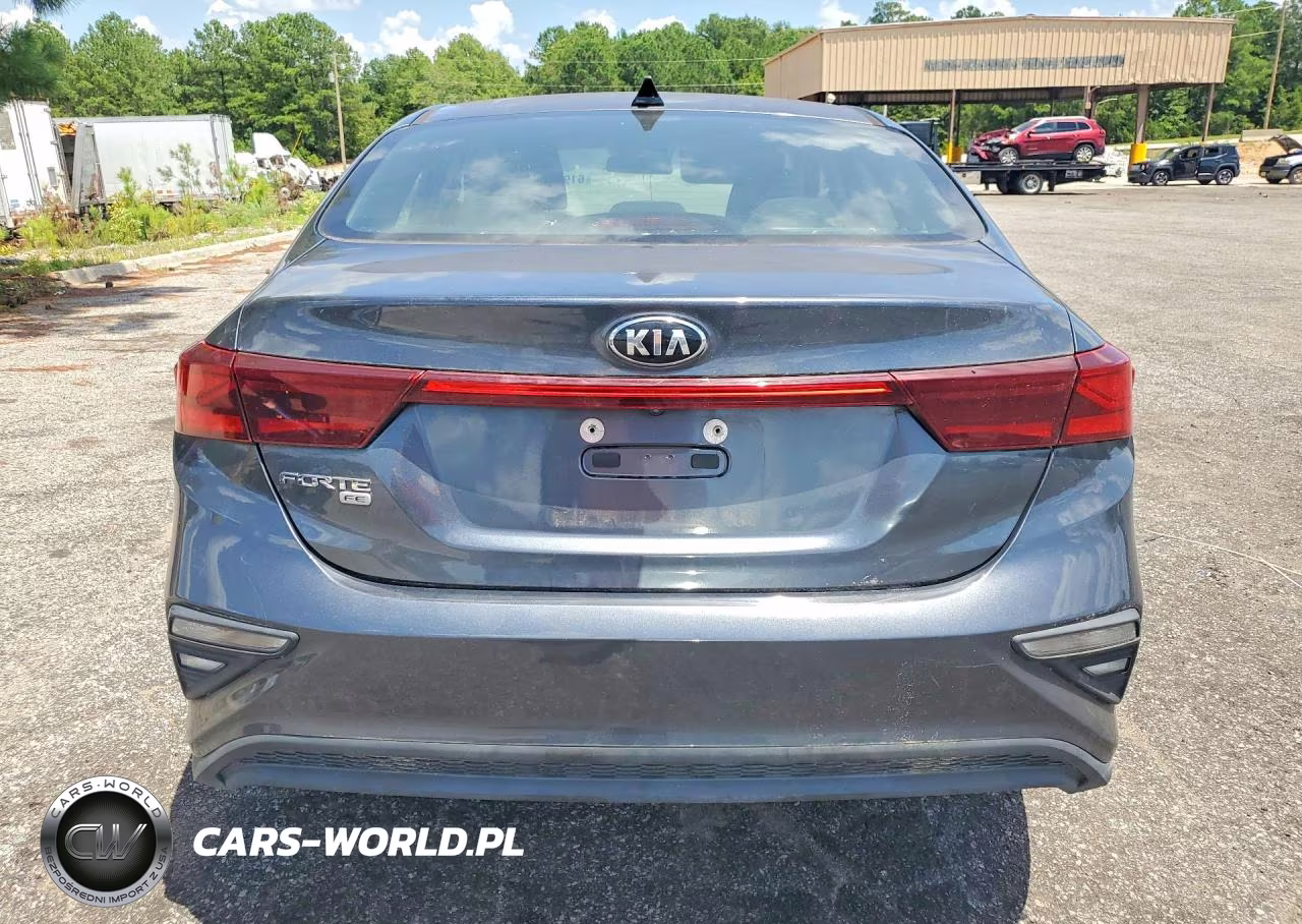 2019 Kia Forte Fe VIN:3KPF24AD5KE077065 - 6