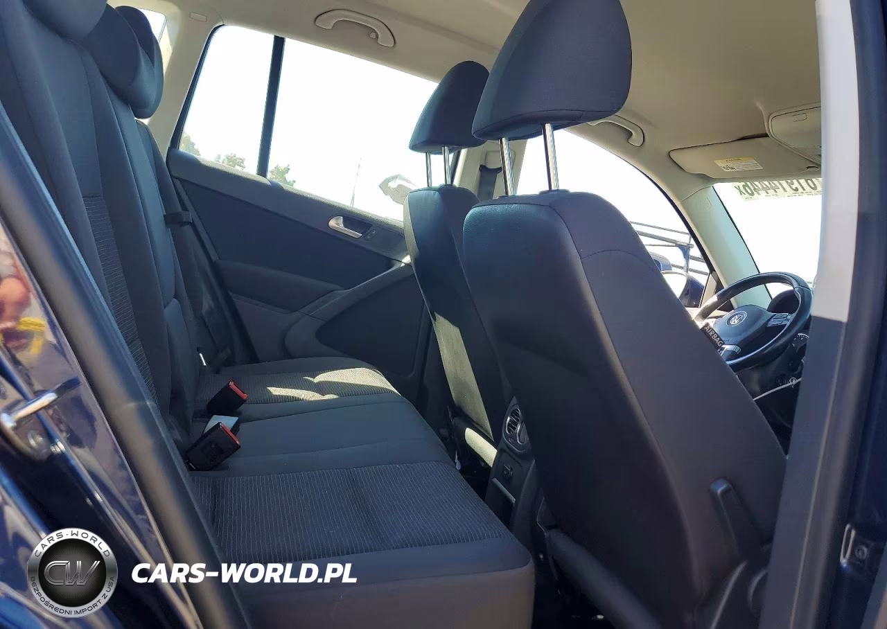 2015 Volkswagen Tiguan S VIN:WVGBV7AX1FW552834 - 10