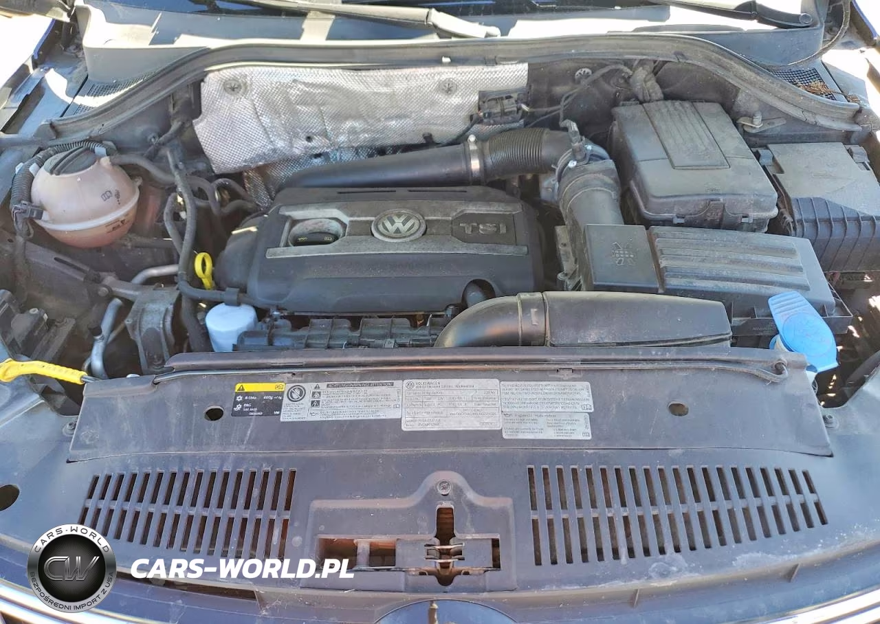 2015 Volkswagen Tiguan S VIN:WVGBV7AX1FW552834 - 11