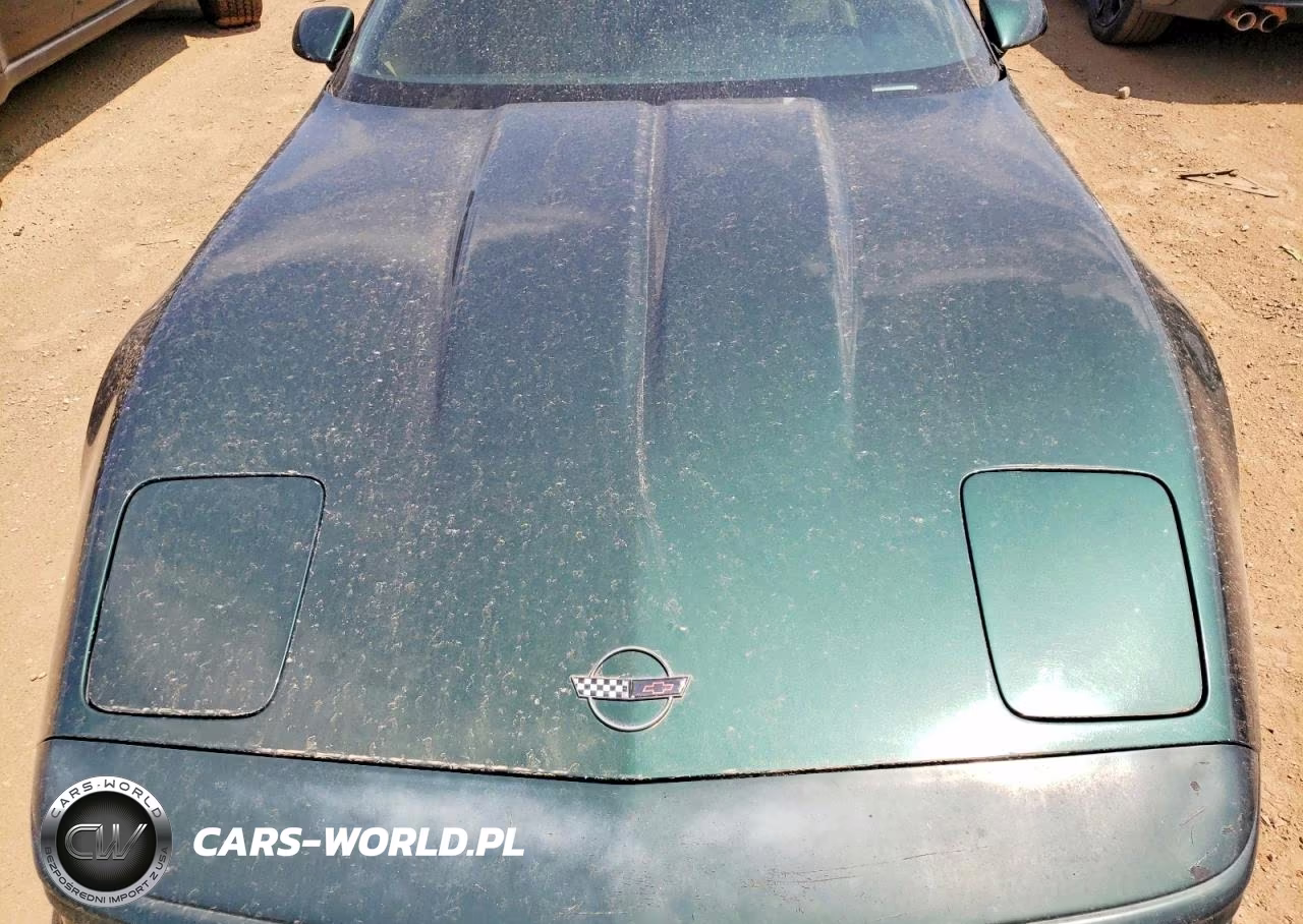 1992 Chevrolet Corvette VIN:1G1YY23P9N5115411 - 11