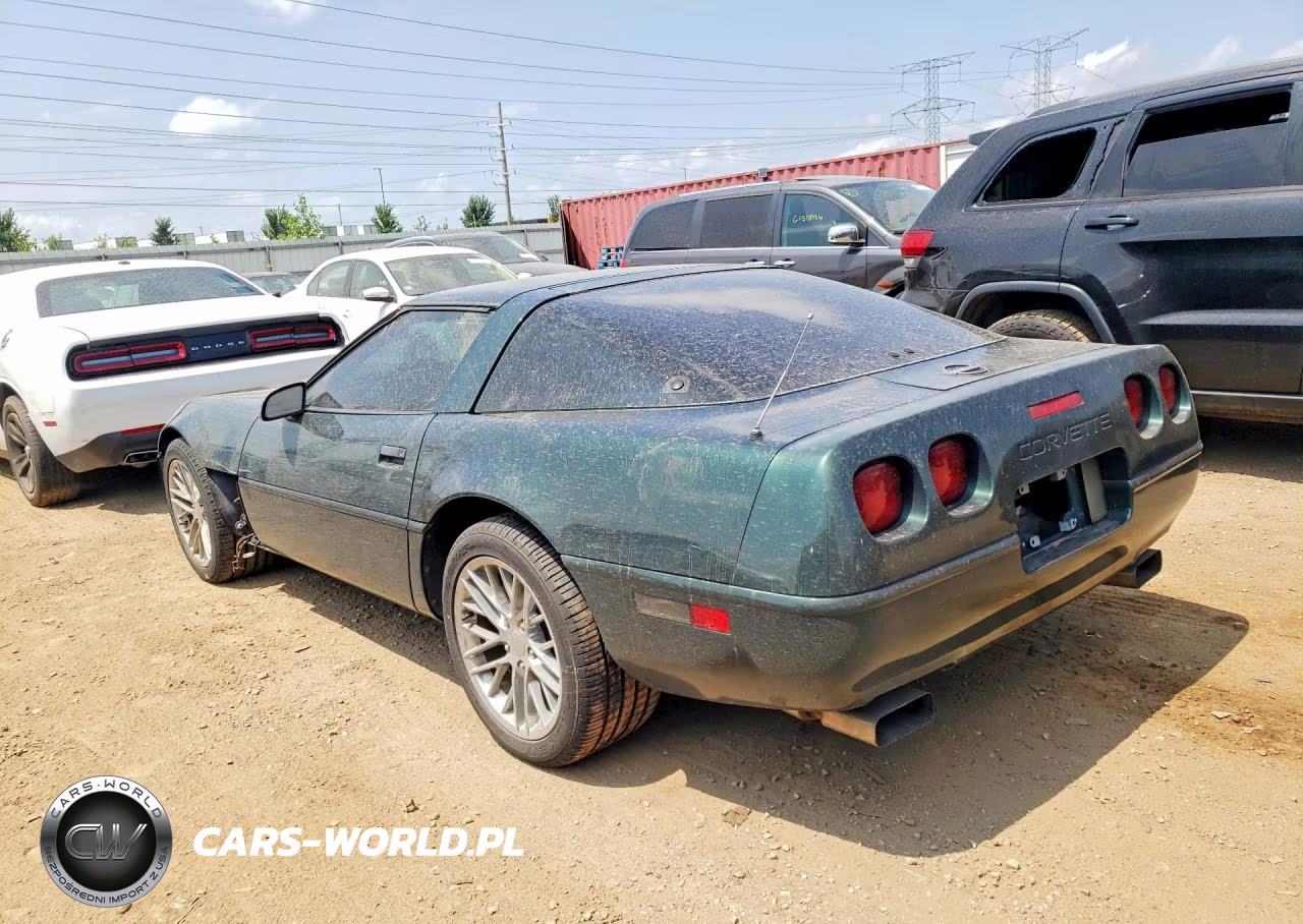 1992 Chevrolet Corvette VIN:1G1YY23P9N5115411 - 2