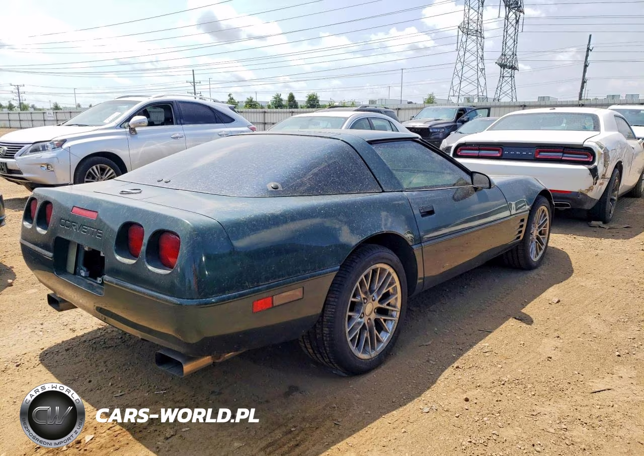 1992 Chevrolet Corvette VIN:1G1YY23P9N5115411 - 3