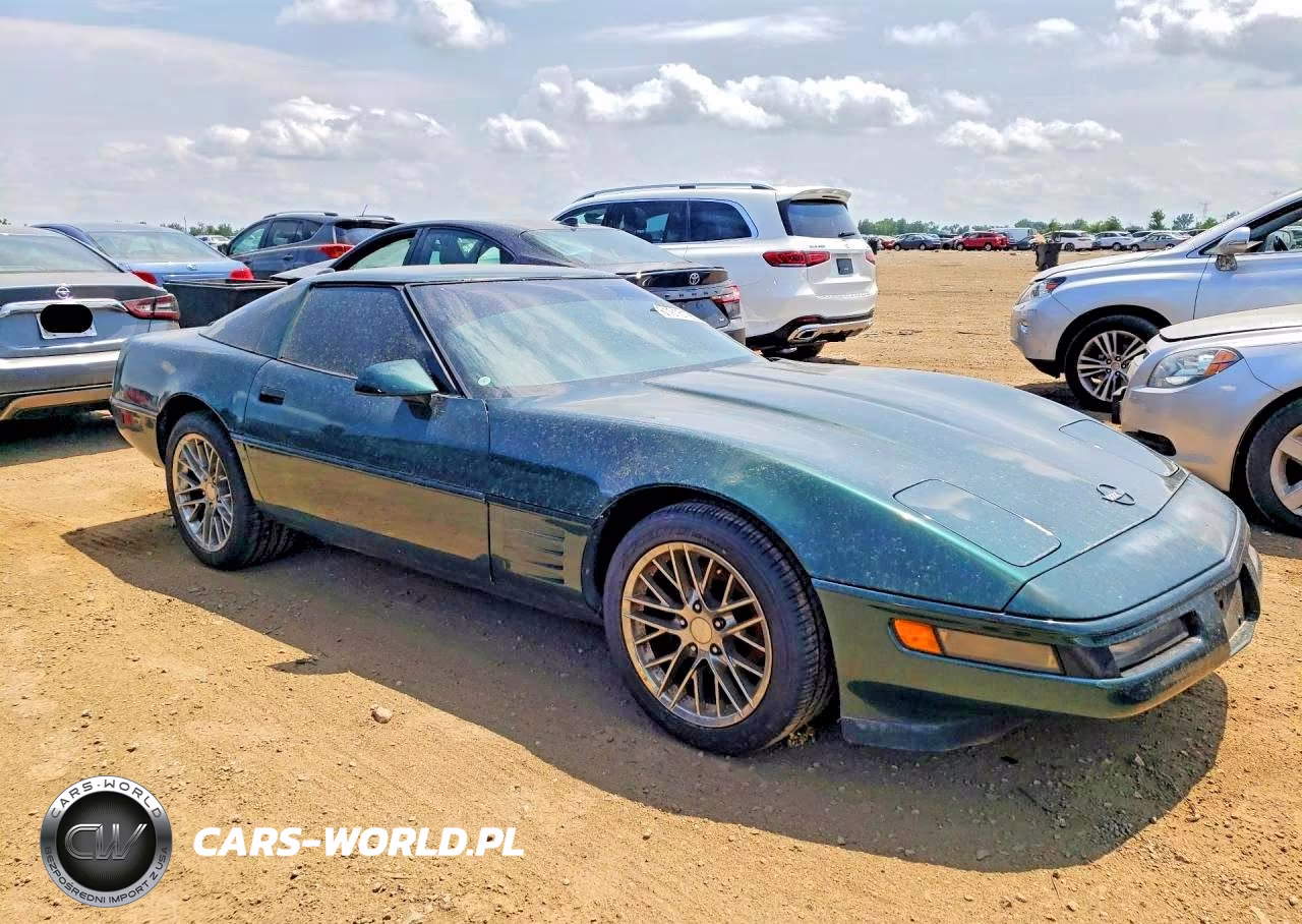 1992 Chevrolet Corvette VIN:1G1YY23P9N5115411 - 4