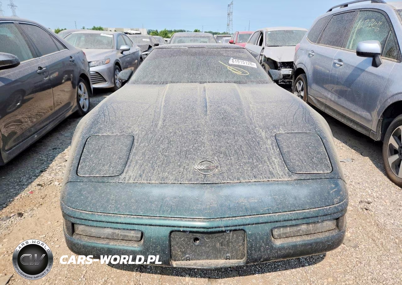 1992 Chevrolet Corvette VIN:1G1YY23P9N5115411 - 5