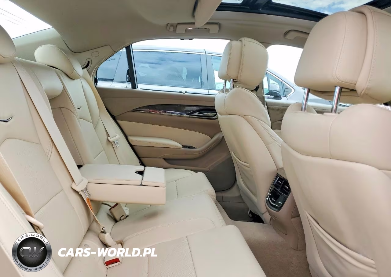2014 Cadillac Cts Performance Collection VIN:1G6AY5SX3E0128988 - 10