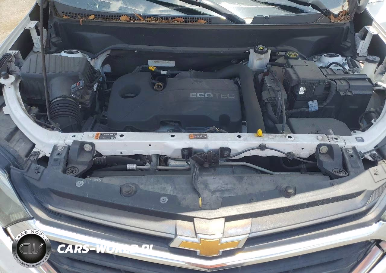 2019 Chevrolet Equinox Ls VIN:2GNAXHEV5K6286867 - 11