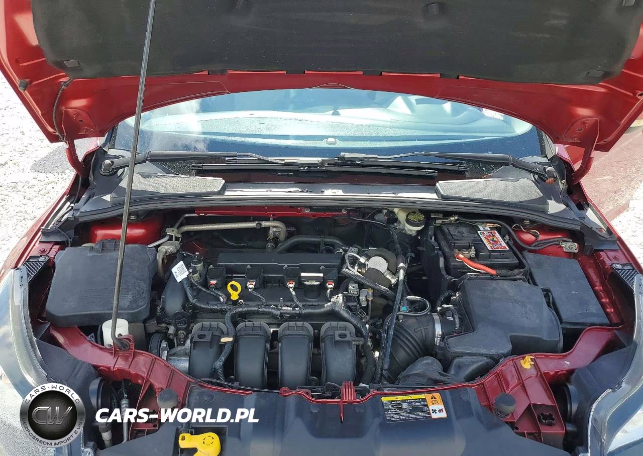 2014 Ford Focus Se VIN:1FADP3K25EL225345 - 11
