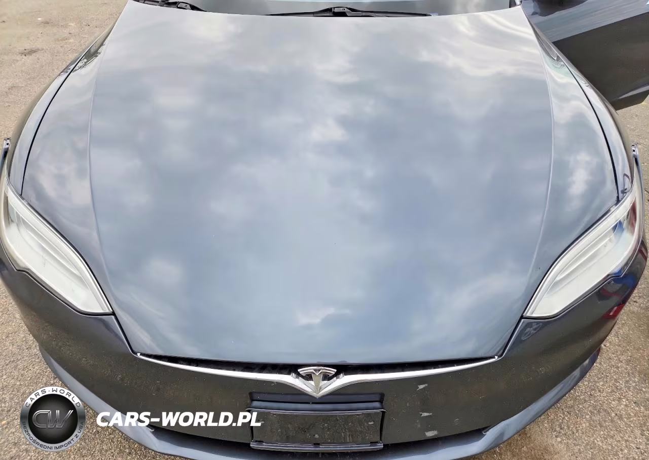 2017 Tesla Model S VIN:5YJSA1E22HF188247 - 11