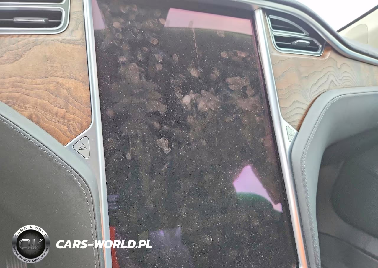 2017 Tesla Model S VIN:5YJSA1E22HF188247 - 9
