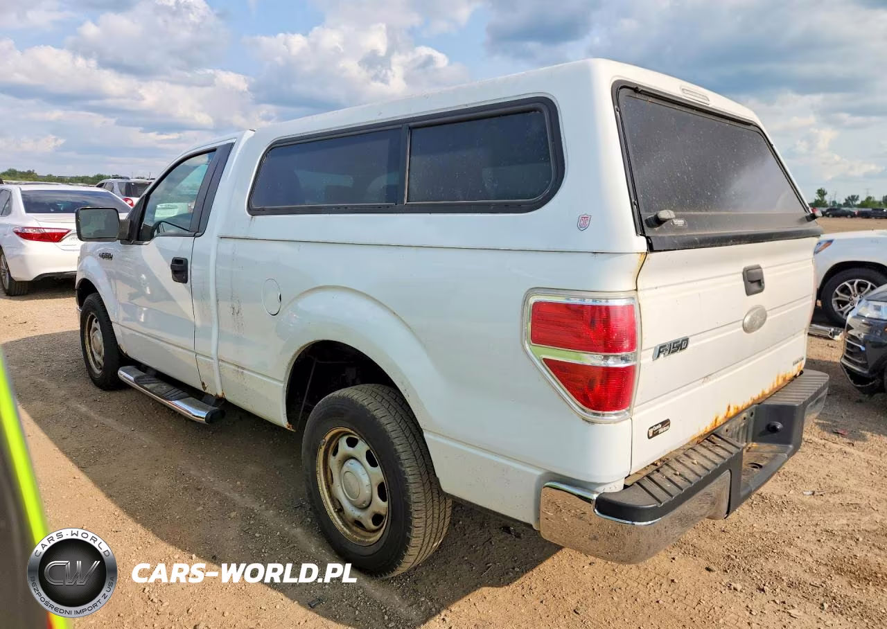 2011 Ford F150 VIN:1FTMF1CM9BFC46307 - 2