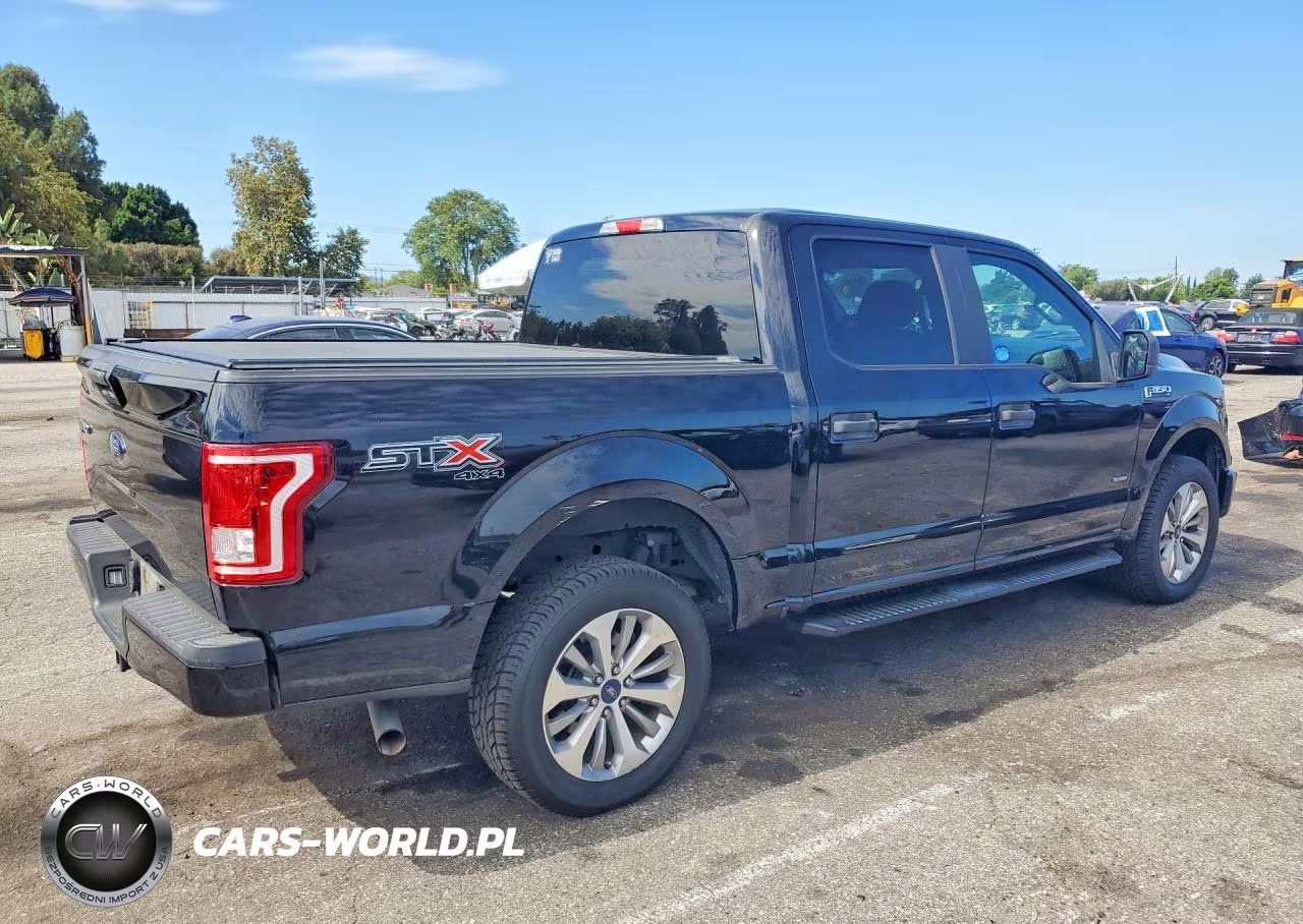 2017 Ford F150 Supercrew VIN:1FTEW1EG5HKD94501 - 3