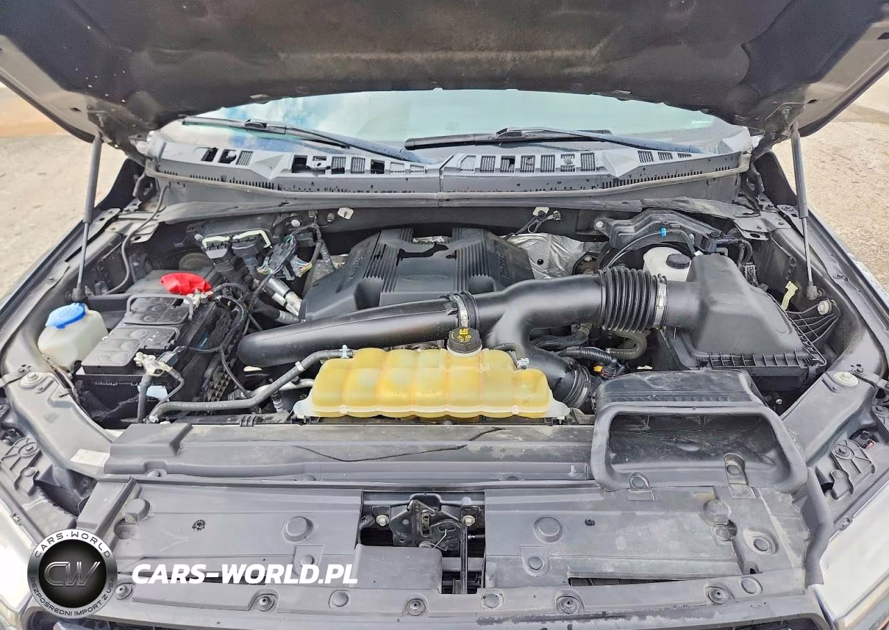 2019 Ford F150 Supercrew VIN:1FTEW1E46KKE93292 - 11
