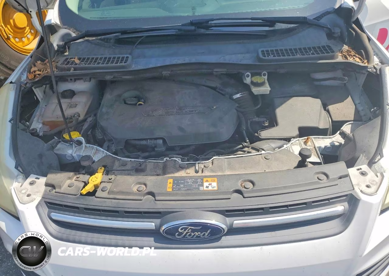 2013 Ford Escape Se VIN:1FMCU0GX9DUC19313 - 11