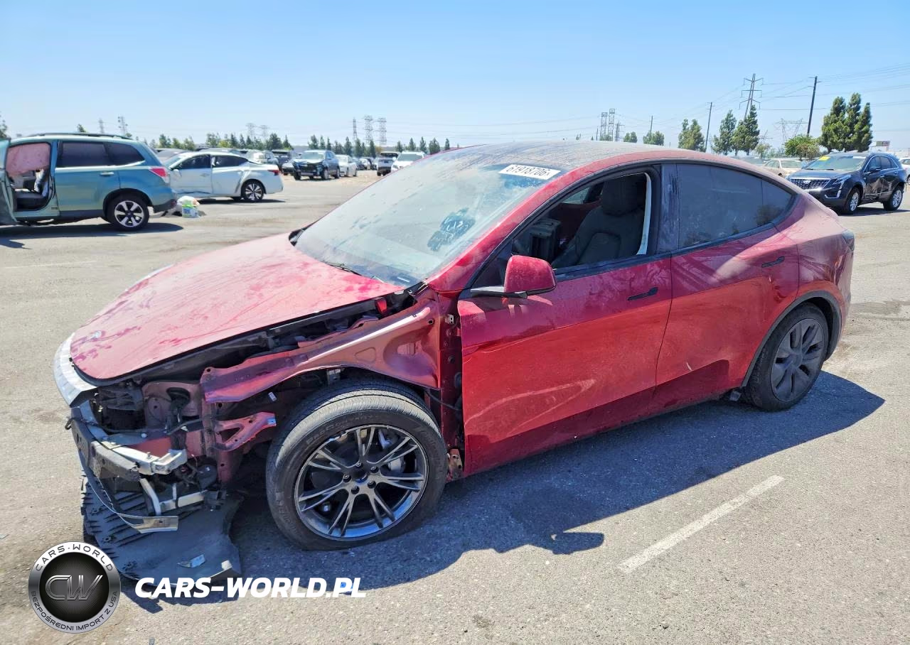 2024 Tesla Model Y VIN:7SAYGDEDXRF193356 - 1