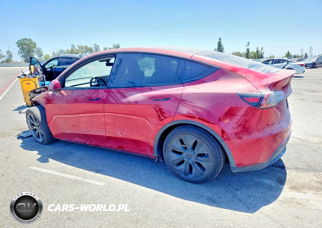 2024 Tesla Model Y VIN:7SAYGDEDXRF193356 - 2