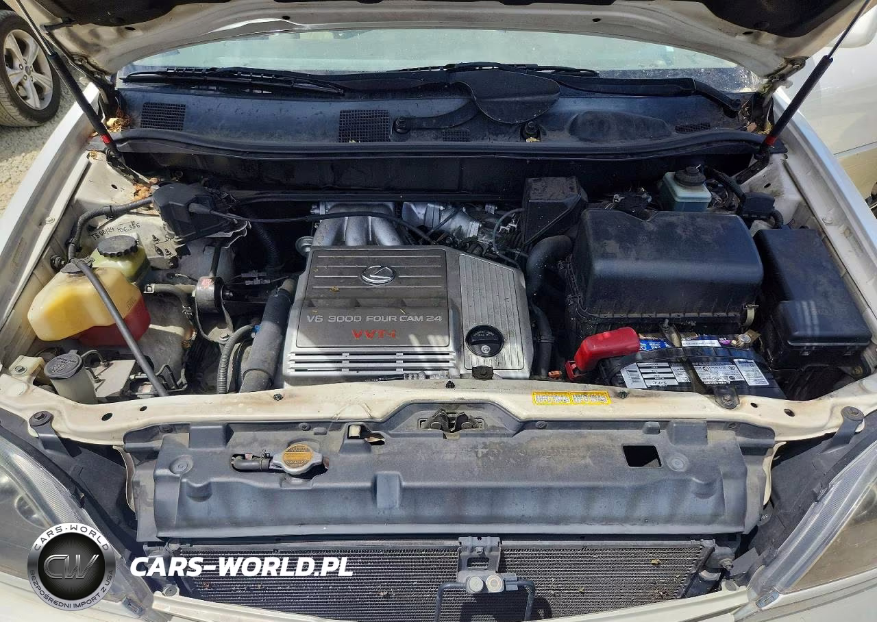 1999 Lexus Rx 300 VIN:JT6HF10U0X0028845 - 12