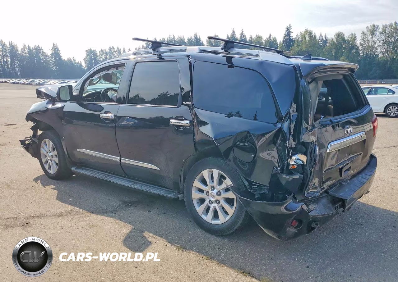 2019 Toyota Sequoia Platinum VIN:5TDDY5G18KS171505 - 2