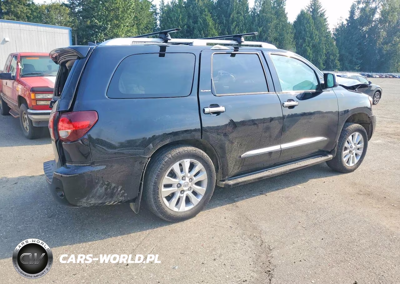 2019 Toyota Sequoia Platinum VIN:5TDDY5G18KS171505 - 3