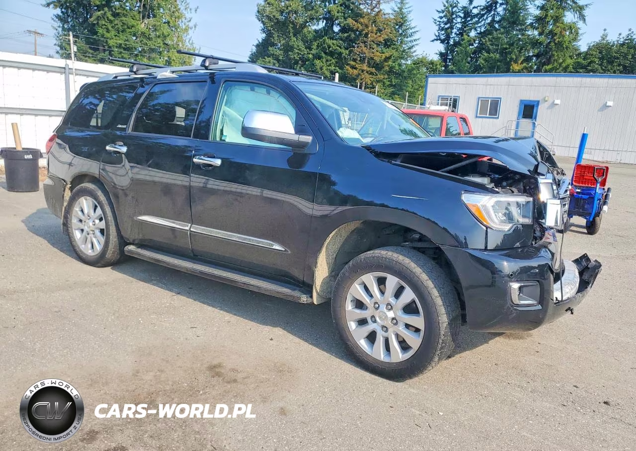2019 Toyota Sequoia Platinum VIN:5TDDY5G18KS171505 - 4