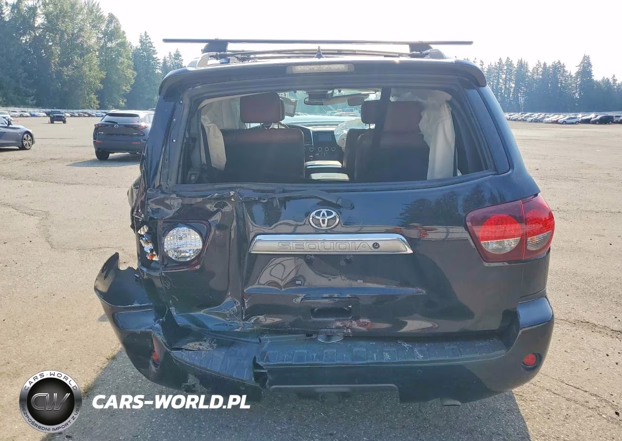 2019 Toyota Sequoia Platinum VIN:5TDDY5G18KS171505 - 6