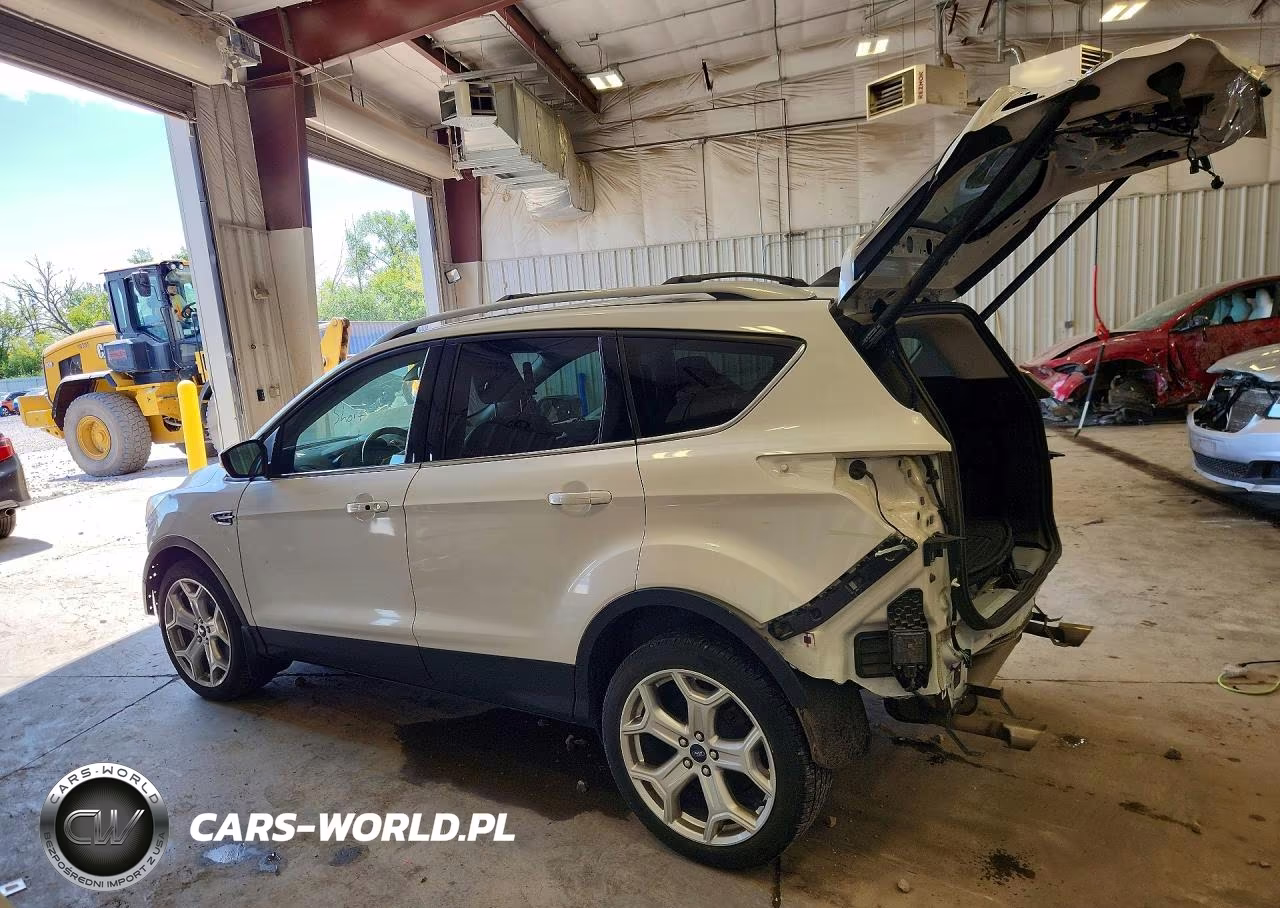 2019 Ford Escape Titanium VIN:1FMCU9J93KUB16805 - 2