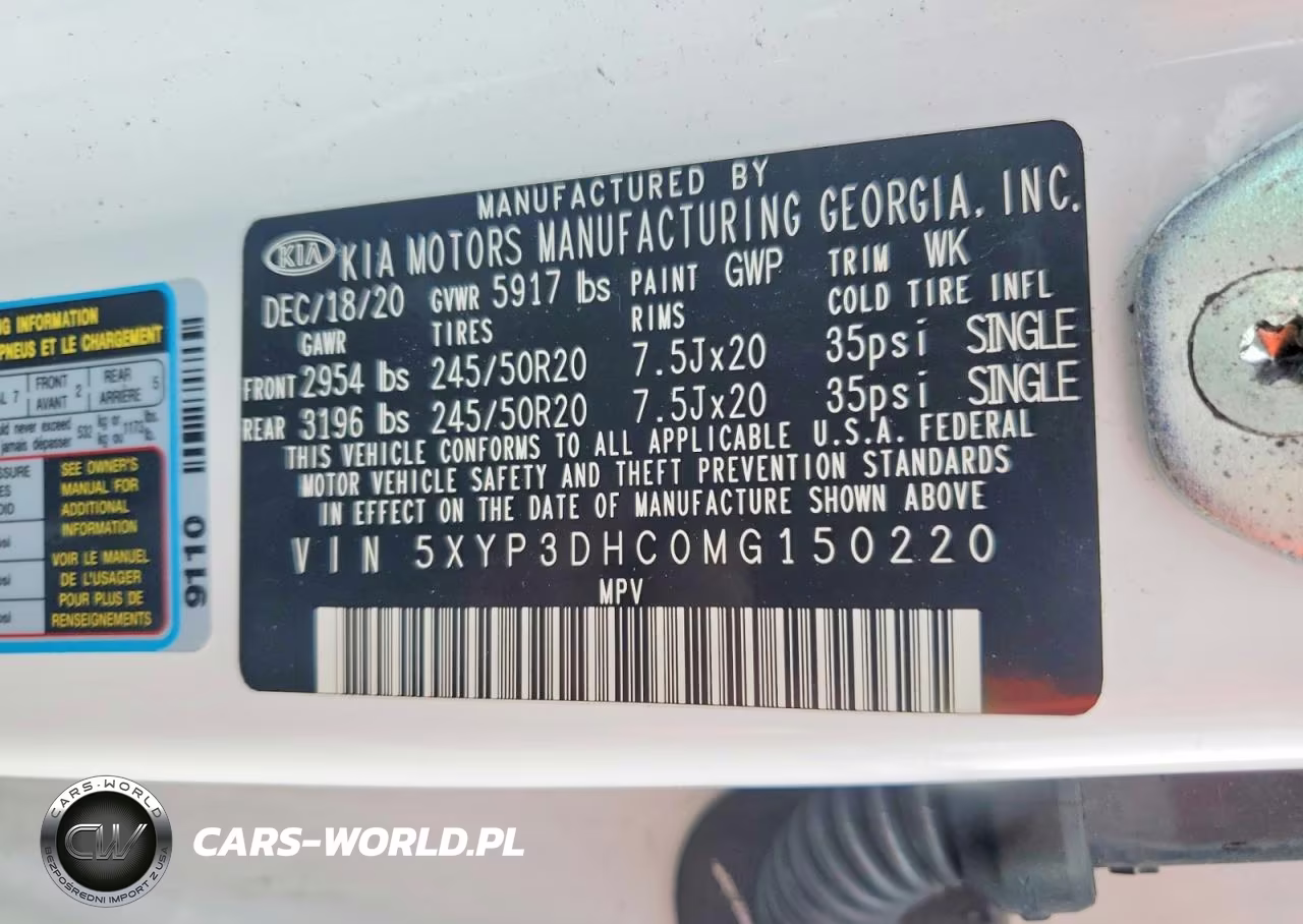 2021 Kia Telluride Ex VIN:5XYP3DHC0MG150220 - 13