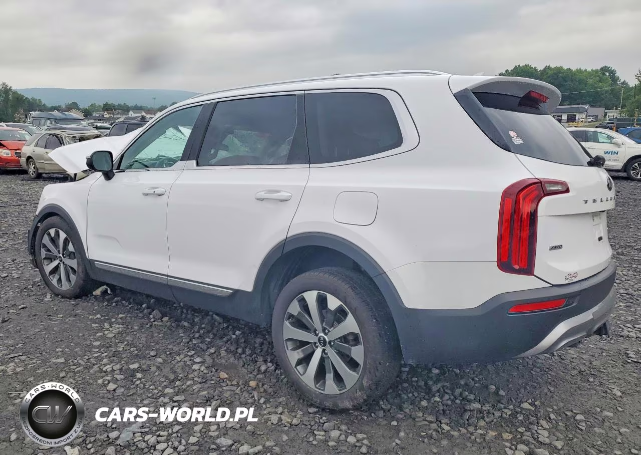 2021 Kia Telluride Ex VIN:5XYP3DHC0MG150220 - 2