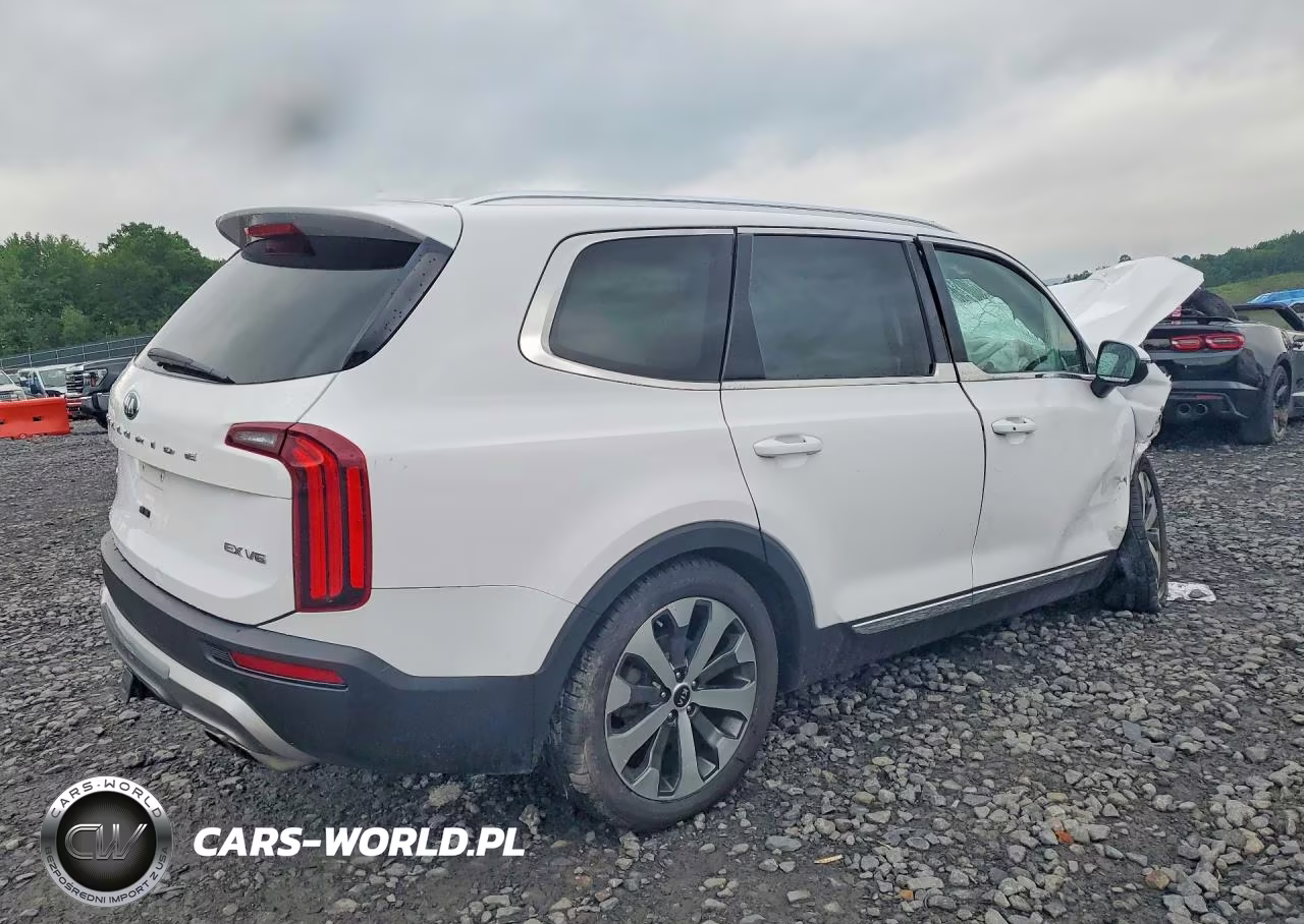 2021 Kia Telluride Ex VIN:5XYP3DHC0MG150220 - 3