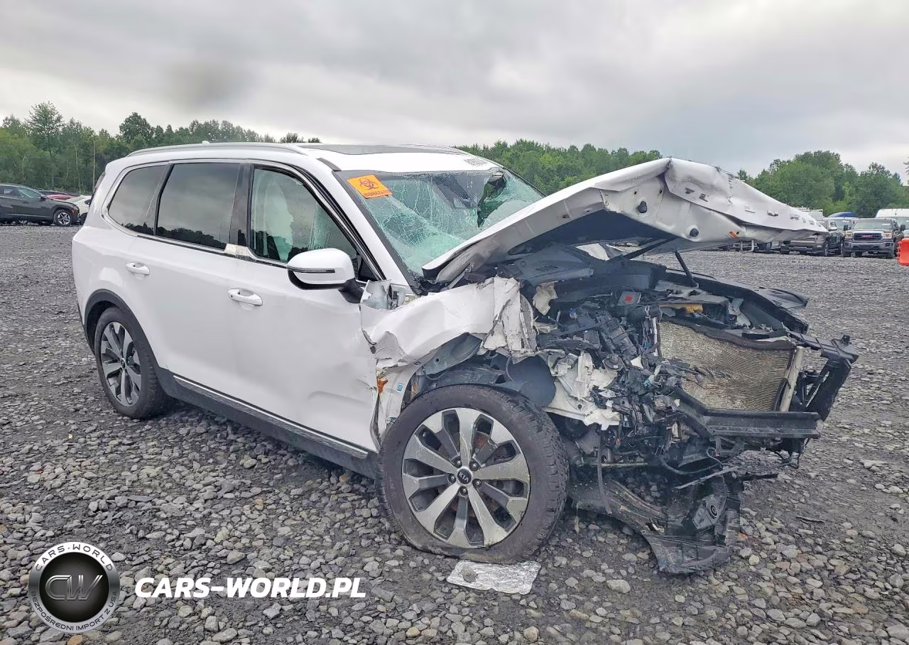 2021 Kia Telluride Ex VIN:5XYP3DHC0MG150220 - 4