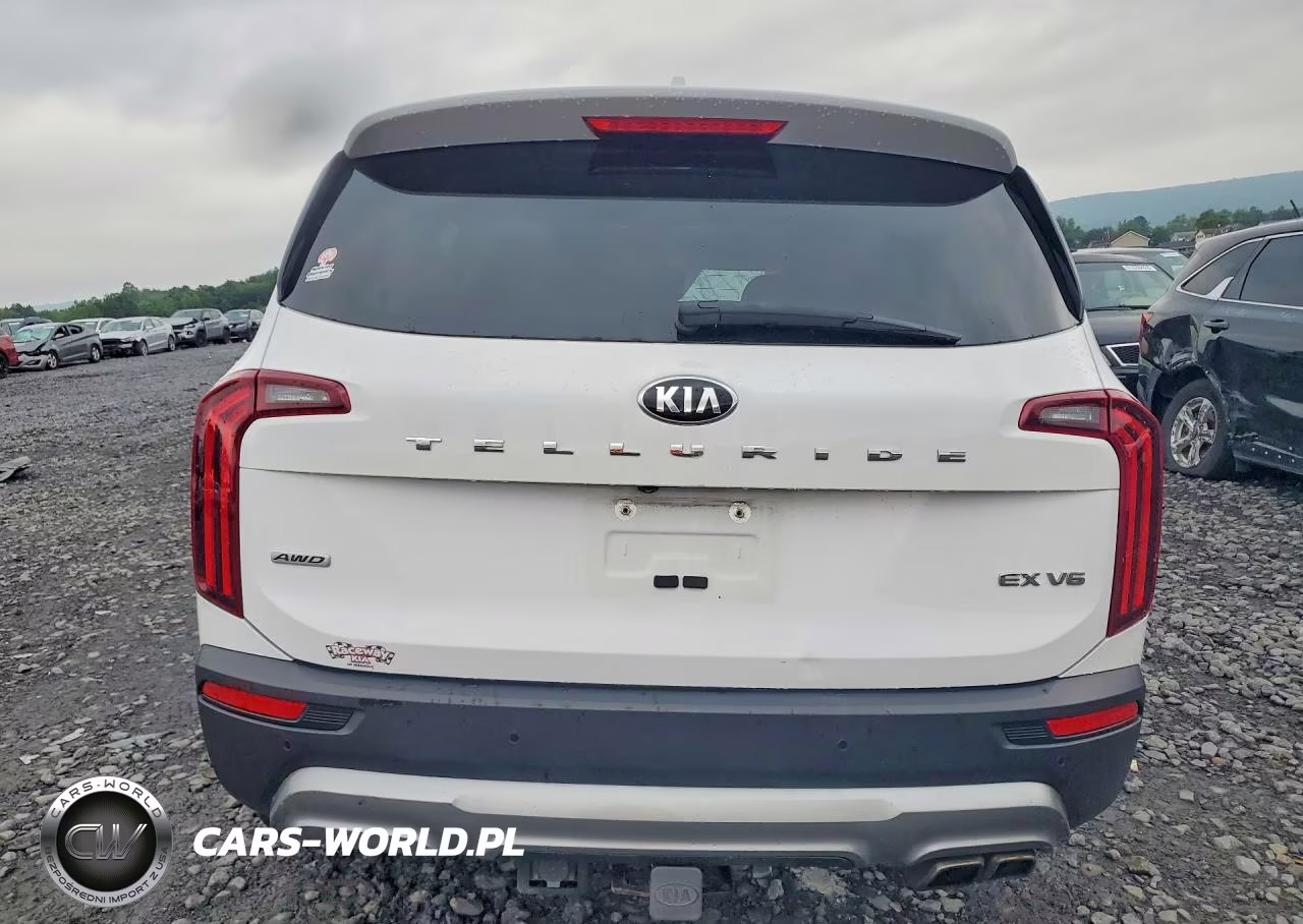 2021 Kia Telluride Ex VIN:5XYP3DHC0MG150220 - 6