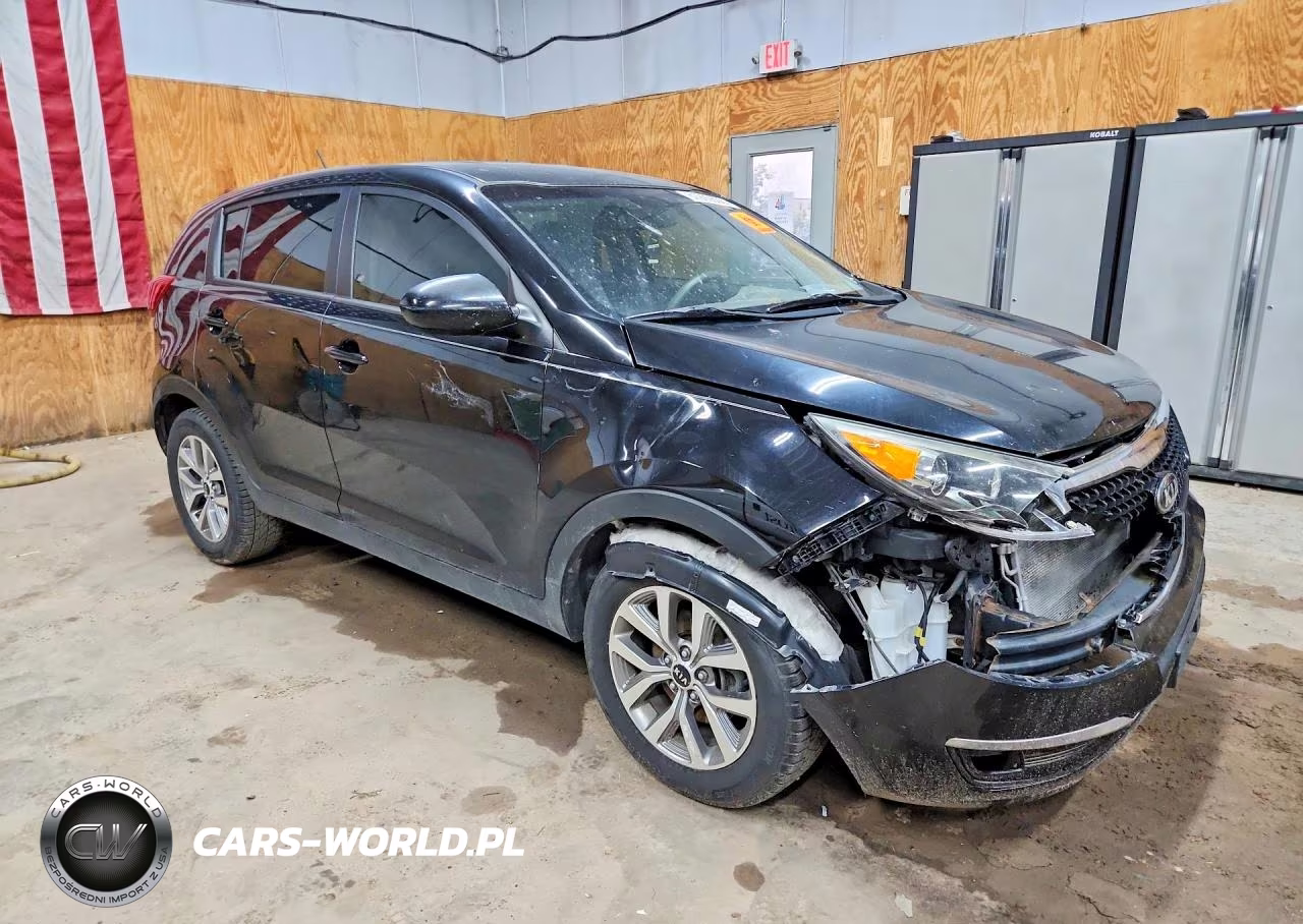 2016 Kia Sportage Lx VIN:KNDPB3ACXG7809042 - 4