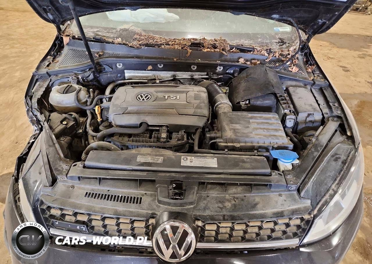 2017 Volkswagen Golf Alltrack S VIN:3VWH17AU4HM511159 - 12
