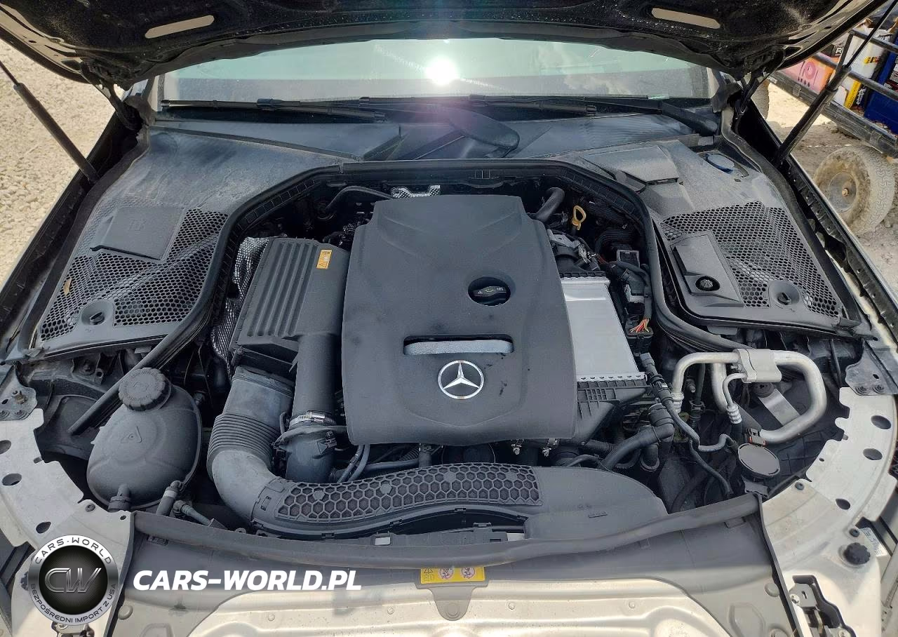 2018 Mercedes-Benz C 300 VIN:55SWF4JB5JU246804 - 11