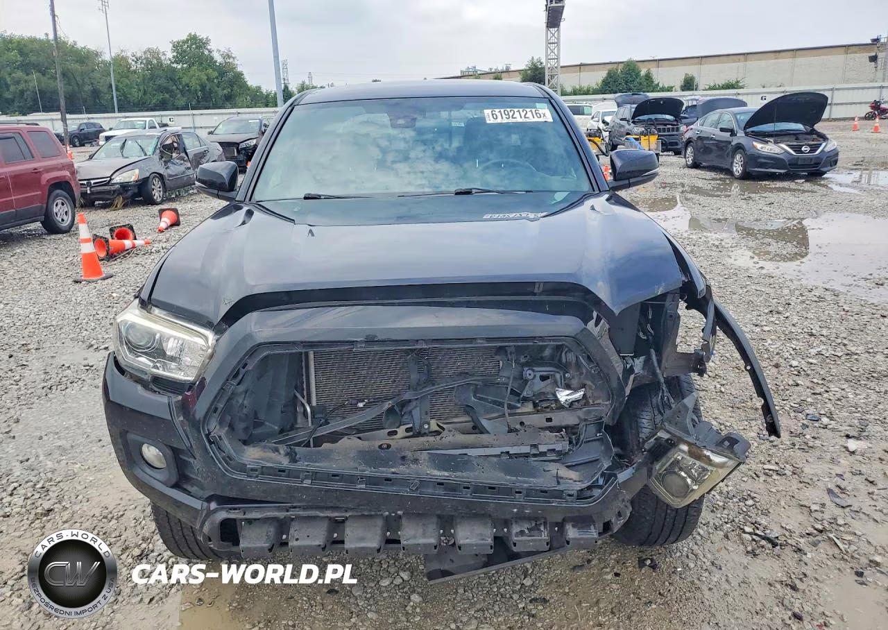 2020 Toyota Tacoma Trd Off-Road VIN:5TFCZ5ANXLX216038 - 5