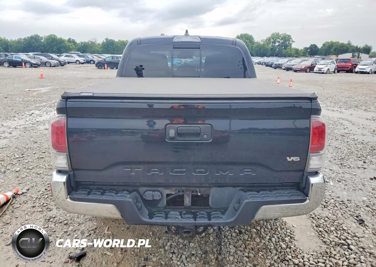 2020 Toyota Tacoma Trd Off-Road VIN:5TFCZ5ANXLX216038 - 6
