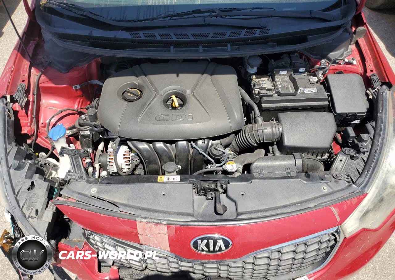 2015 Kia Forte Ex VIN:KNAFX4A88F5323349 - 11