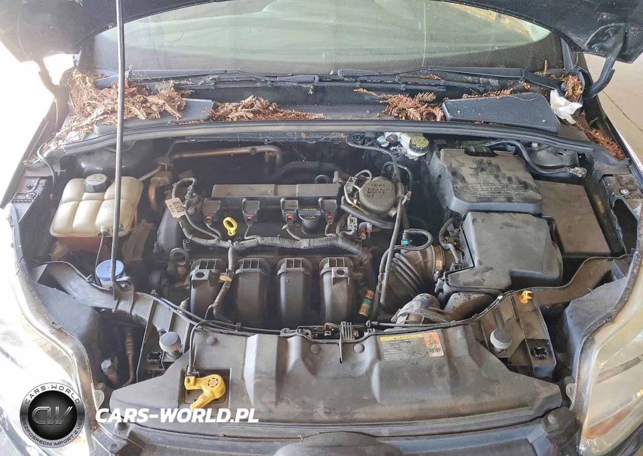 2013 Ford Focus Se VIN:1FADP3F23DL124393 - 11