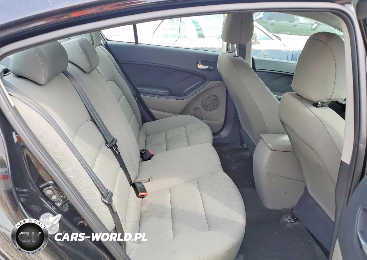2015 Kia Forte Lx VIN:KNAFK4A66F5412009 - 10