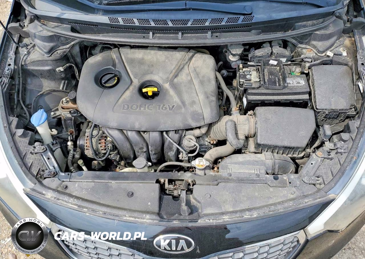 2015 Kia Forte Lx VIN:KNAFK4A66F5412009 - 11