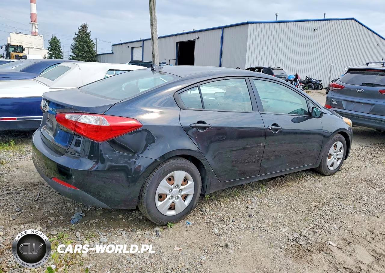 2015 Kia Forte Lx VIN:KNAFK4A66F5412009 - 3