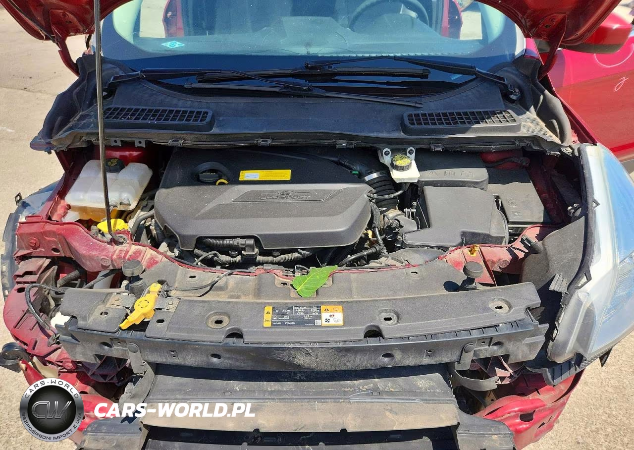 2016 Ford Escape Se VIN:1FMCU0GX0GUA65014 - 12