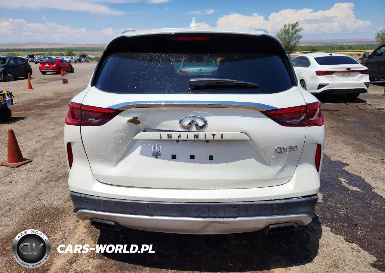 2020 Infiniti Qx50 Luxe VIN:3PCAJ5M13LF111178 - 6