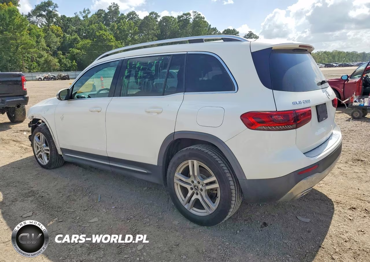 2020 Mercedes-Benz Glb 250 VIN:W1N4M4GB0LW016391 - 2