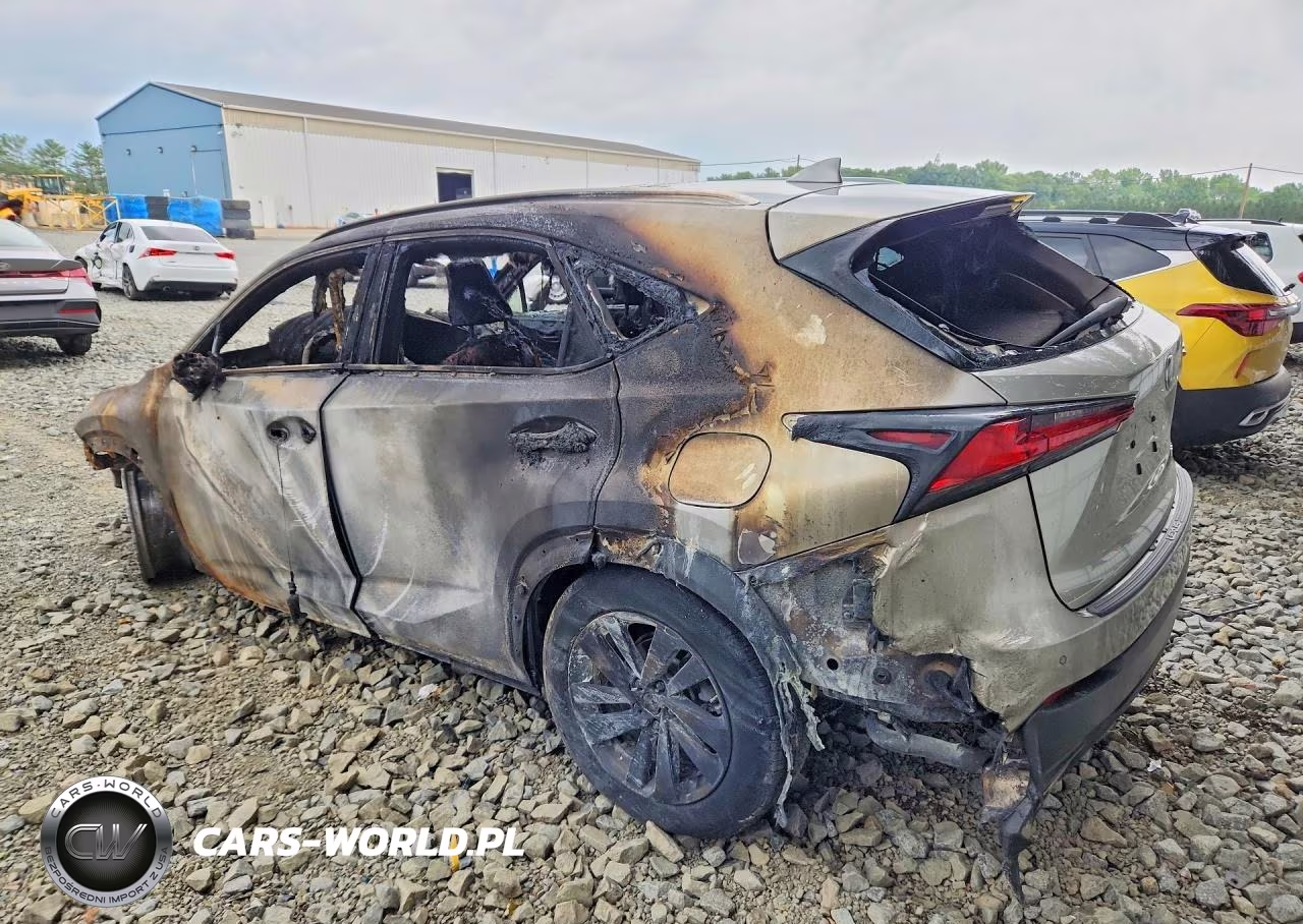 2019 Lexus Nx 300 Base VIN:JTJBARBZ3K2210313 - 2