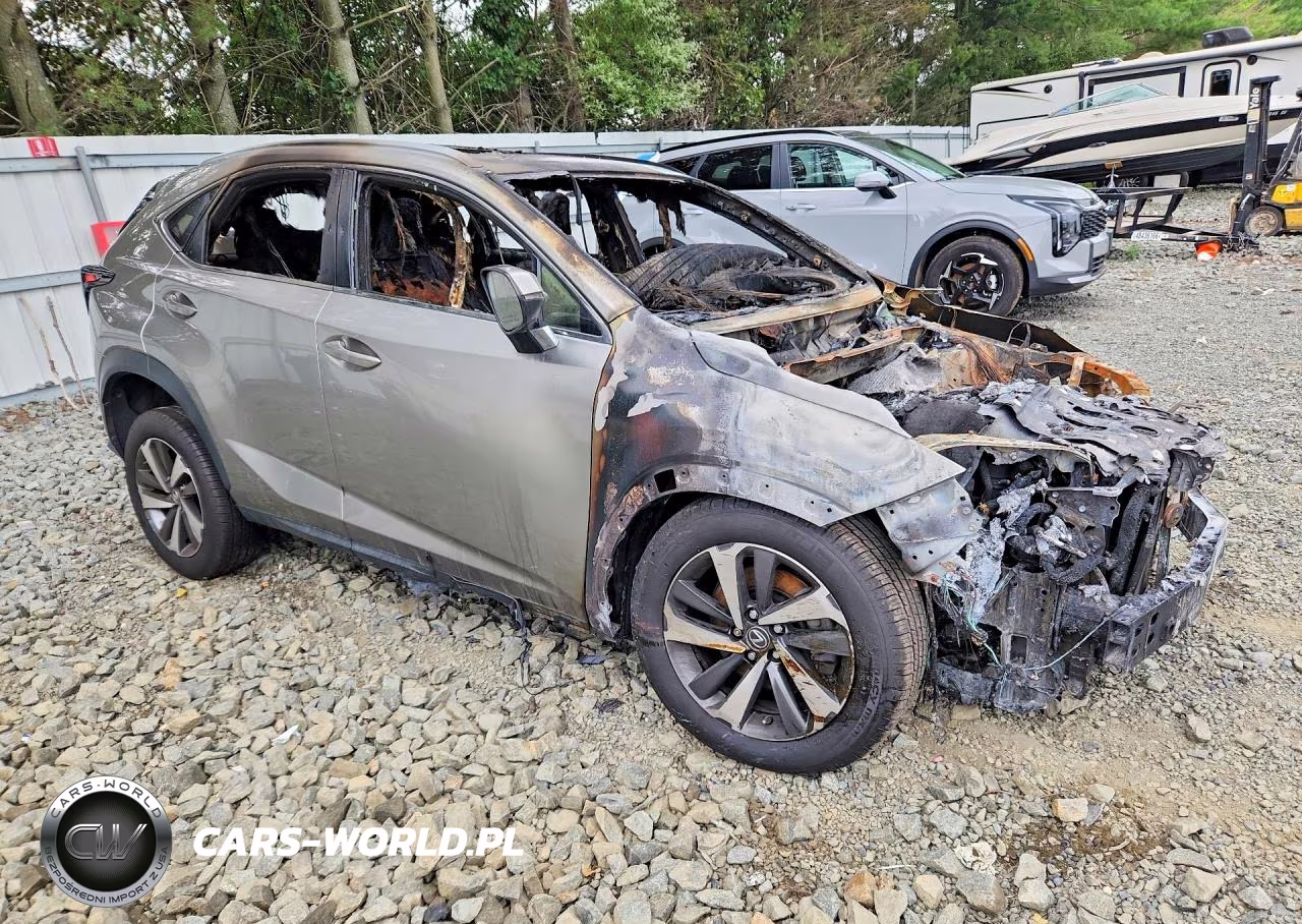 2019 Lexus Nx 300 Base VIN:JTJBARBZ3K2210313 - 4