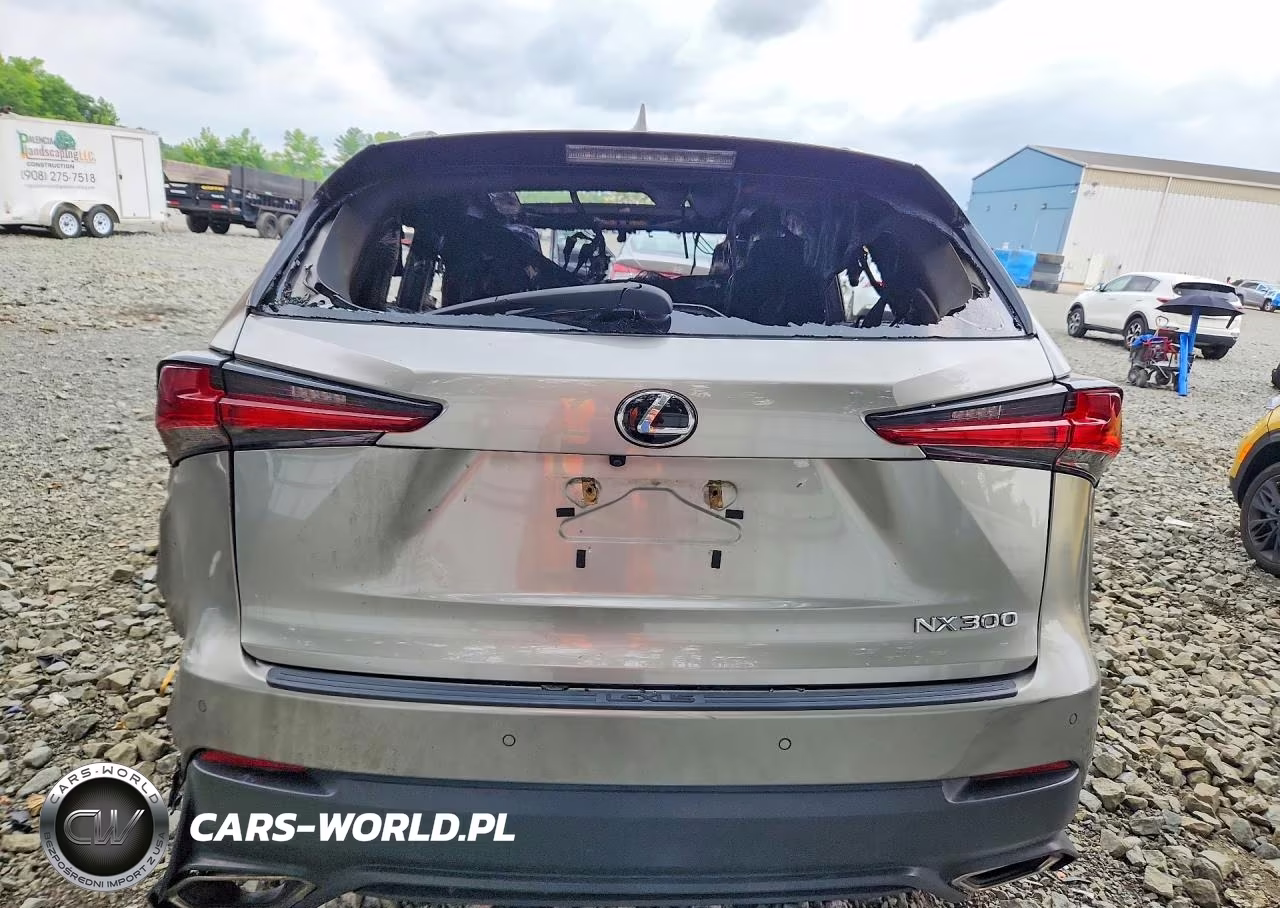 2019 Lexus Nx 300 Base VIN:JTJBARBZ3K2210313 - 6